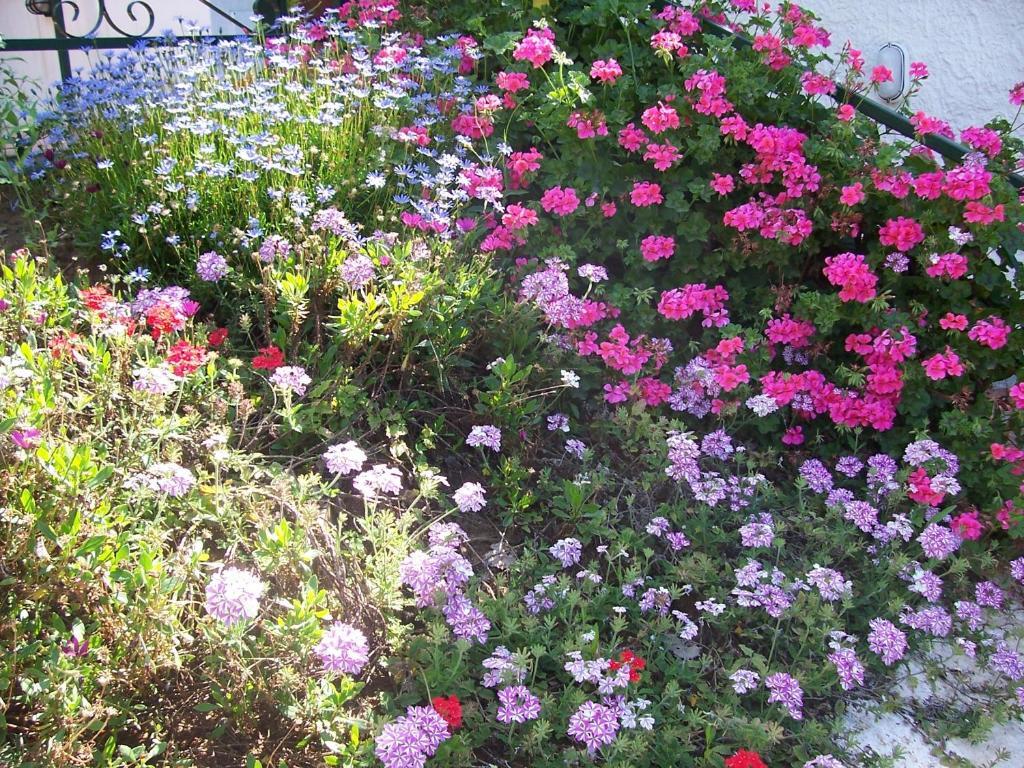 B&B Arcobaleno Cefalù Buitenkant foto